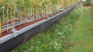 Parmi les sujets de formation l’an prochain, l’institut Astredhor abordera les méthodes alternatives de désherbage ou la végétalisation comme alternative au désherbage chimique… ©Odile Maillard