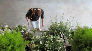 Selon la FNMJ, les résultats des jardineries sont bons pour 2019, les ventes globales ayant progressé de 3,4 %. © P. Fayolle