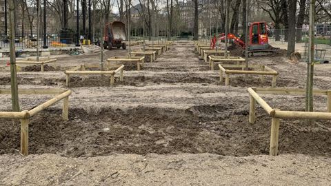 La FNPHP a publié un document précisant dans quelles conditions il est possible de planter des arbres toute l’année. Indispensable cette année alors que les plantations ont partout pris du retard.  (c)P.Fayolle