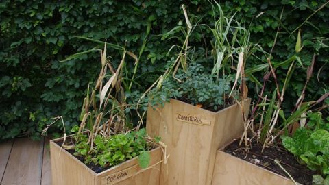 Le Festival international des jardins de Chaumont-sur-Loire a désormais ouvert ses portes. Seuls 2 jardins prévus n’ont pas pu être finalisés. ©Y. Haddad