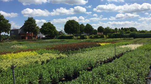 Quatre organismes ont recensé les pertes dans 17 pays européen dont la Belgique où a été prise cette photo : en tout, plus de 4 milliards d’euros ont été perdus. ©L. Hespel