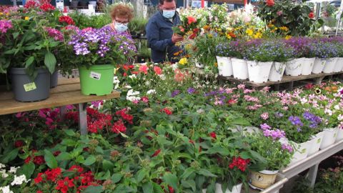 En termes de communication, HPF invite à indiquer à l’entrée des établissements que « votre exploitation agricole reste ouverte », sans faire mention de la notion de magasin ou de point de vente. ©F. Arnould