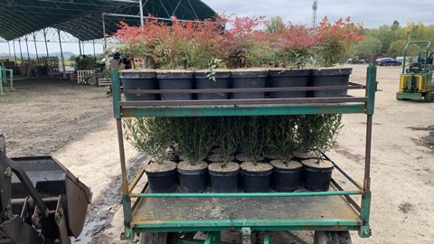 Reçus le 6 décembre à l’Elysée, Val’Hor a tiré la sonnette d’alarme pour les producteurs. Les mises en culture demandent 500 millions d’euros d’investissement, les ventes de printemps doivent être garanties. 