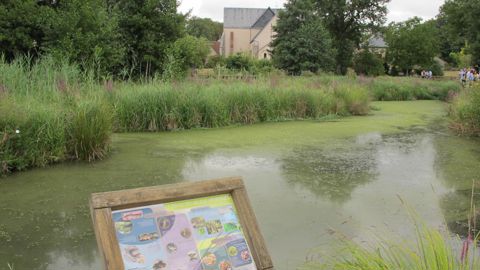 Les collectivités qui souhaitent se présenter au concours « Capitale française de la biodiversité 2021 » peuvent le faire jusqu’à la fin de l’année. ©P. Fayolle