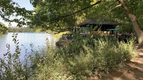 En France, la ville modèle est Lyon, en 28è position mondiale de l’index HUGSI, révélateur des villes vertes. Ici dans le parc de la Tête d’Or, poumon vert de la ville. ©P. Fayolle