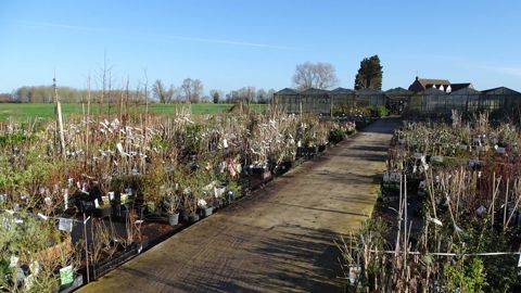 L’enseigne web Promesse de Fleurs, qui a connu une forte croissance cette année, sécurise ses approvisionnements grâce à des contrats de culture renforcés. ©Promesse de fleurs