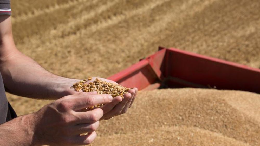 La production mondiale proche du record de l’an passé