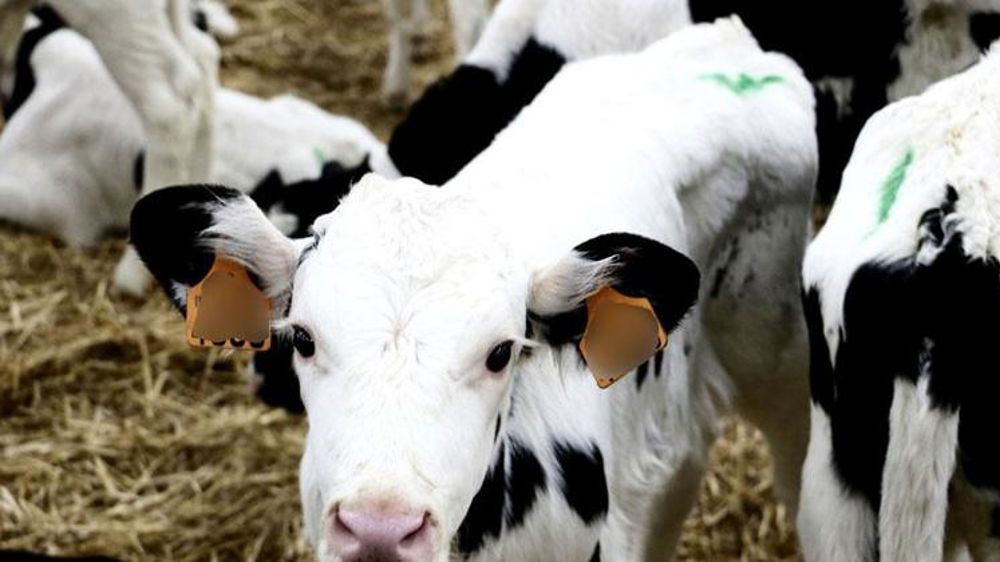 Suspension d’une dizaine de médicaments contenant de la colistine