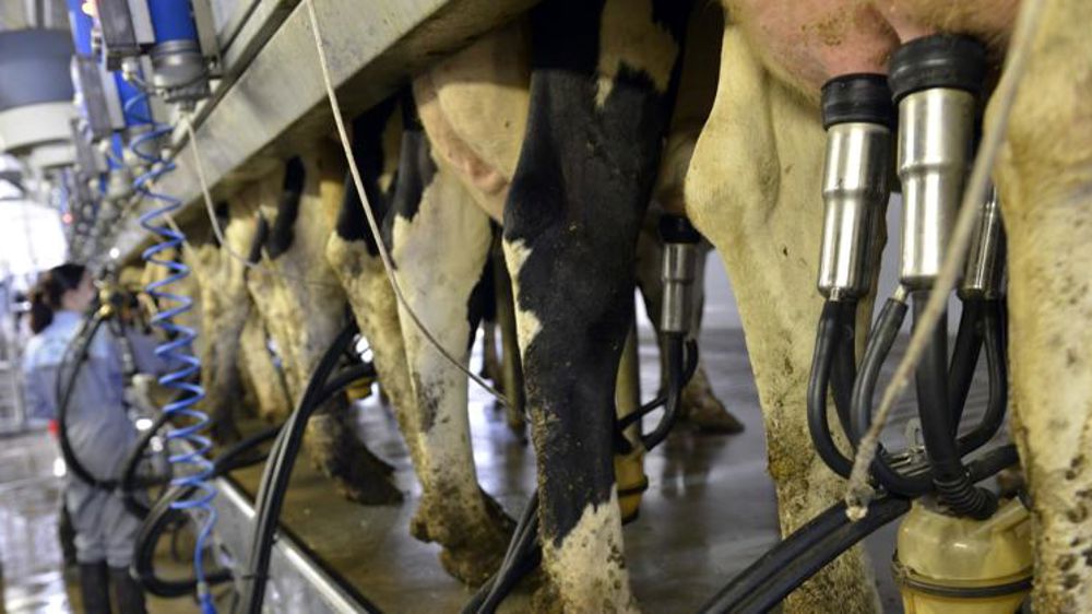 Hausse du prix du lait en octobre