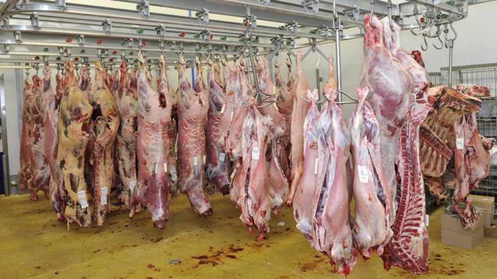 Les importations de viande en baisse de 300 M€