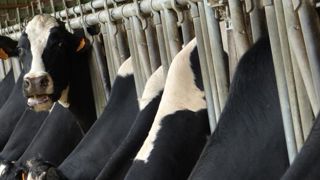 Nouveau décrochage en octobre Nouveau décrochage en octobre
