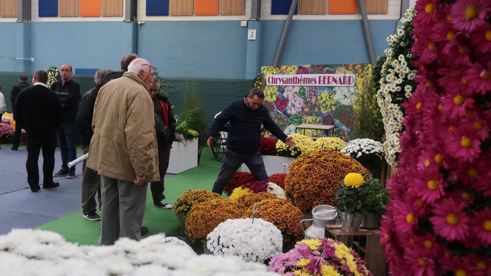 Les 6 et 7 novembre 2019, le Salon du chrysanthème, des jeunes plants et des intrants horticoles s’est tenu à Saint-Cyr-en-Val près d’Orléans.©Odile Maillard