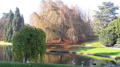 Les BSV dans les espaces verts et jardins risquent de disparaître dans de nombreuses régions suite à une importante baisse de budget. ©Valérie Vidril Les BSV dans les espaces verts et jardins risquent de disparaître dans de nombreuses régions suite à une importante baisse de budget. ©Valérie Vidril