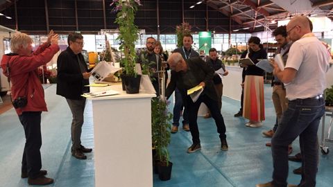 17 professionnels, membres du jury pour INNOVERT® 2019, ont remis 4 prix et deux coups de cœur. ©O. Maillard