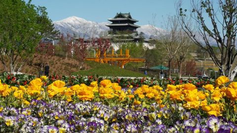 Les inscriptions pour le congrès annuel de l’AIPH, qui aura lieu en septembre 2019, sont ouvertes jusqu’au 31 juillet 2019. ©AIPH