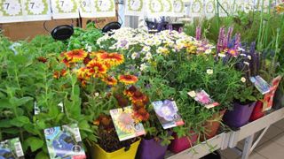 Face à des produits qu'il connaît de moins en moins bien, le consommateur (en particulier les 20-40 ans) a aujourd'hui besoin d'être rassuré par le biais de conseils et qu'on lui apporte de la praticité.(c)Pascal fayolle Face à des produits qu'il connaît de moins en moins bien, le consommateur (en particulier les 20-40 ans) a aujourd'hui besoin d'être rassuré par le biais de conseils et qu'on lui apporte de la praticité.(c)Pascal fayolle Face à des produits qu'il connaît de moins en moins bien, le consommateur (en particulier les 20-40 ans) a aujourd'hui besoin d'être rassuré par le biais de conseils et qu'on lui apporte de la praticité.(c)Pascal fayolle Face à des produits qu'il connaît de moins en moins bien, le consommateur (en particulier les 20-40 ans) a aujourd'hui besoin d'être rassuré par le biais de conseils et qu'on lui apporte de la praticité.(c)Pascal fayolle