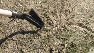 Le désherbage sera le casse-tête de la gestion du personnel au sein des services des espaces verts dans un avenir proche. Et si le fleurissement en faisait les frais ? ©Pascal Fayolle Le désherbage sera le casse-tête de la gestion du personnel au sein des services des espaces verts dans un avenir proche. Et si le fleurissement en faisait les frais ? ©Pascal Fayolle Le désherbage sera le casse-tête de la gestion du personnel au sein des services des espaces verts dans un avenir proche. Et si le fleurissement en faisait les frais ? ©Pascal Fayolle Le désherbage sera le casse-tête de la gestion du personnel au sein des services des espaces verts dans un avenir proche. Et si le fleurissement en faisait les frais ? ©Pascal Fayolle