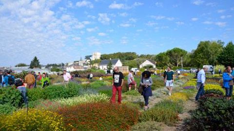 Cent vingt professionnels ont participé à la journée proposée par les Ets Simier le 10 septembre. ©ETS Simier Cent vingt professionnels ont participé à la journée proposée par les Ets Simier le 10 septembre. ©ETS Simier