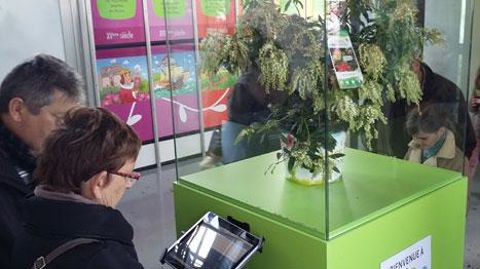 Le Living lab Végéconso avait inauguré son espace « le végétal de demain » en 2017 au parc Terra Botanica. Il préfigure ce que veut être Plant Event. ©Végépolys Le Living lab Végéconso avait inauguré son espace « le végétal de demain » en 2017 au parc Terra Botanica. Il préfigure ce que veut être Plant Event. ©Végépolys