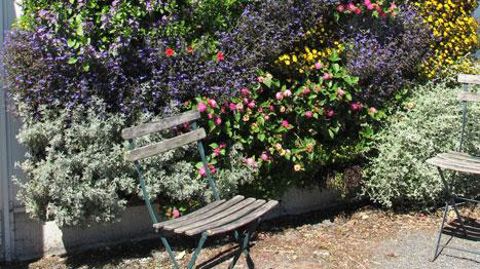 Multiforme, l'agriculture urbaine s'étend des initiatives sur les balcons des particuliers aux jardins communautaires participatifs, en passant par les serres horticoles high-tech sur les toits.(c)Valérie Vidril Multiforme, l'agriculture urbaine s'étend des initiatives sur les balcons des particuliers aux jardins communautaires participatifs, en passant par les serres horticoles high-tech sur les toits.(c)Valérie Vidril