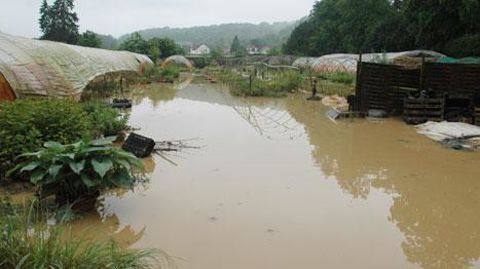 Au nord de Paris, les Ets Demoinet à Attichy dans l'Oise ont subi les affres des orages de ce printemps chahuté. Au nord de Paris, les Ets Demoinet à Attichy dans l'Oise ont subi les affres des orages de ce printemps chahuté.
