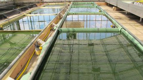 La station Ratho a mis en oeuvre un essai spiruline qui fera partie des thèmes techniques à découvrir le mercredi 4 juillet 2018. (c)Valérie Vidril La station Ratho a mis en oeuvre un essai spiruline qui fera partie des thèmes techniques à découvrir le mercredi 4 juillet 2018. (c)Valérie Vidril