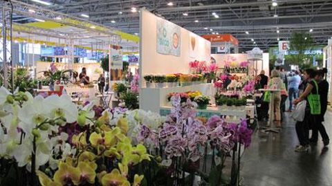 Globalement, le visitorat du Salon du végétal 2018 reste trop faible et de plus en plus d'exposants aimeraient qu'un autre créneau de dates soit choisi. (c)Léna Hespel Globalement, le visitorat du Salon du végétal 2018 reste trop faible et de plus en plus d'exposants aimeraient qu'un autre créneau de dates soit choisi. (c)Léna Hespel