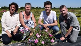 L'obtention du génome de Rosa chinensis ‘Old Blush' va permettre d'accélérer le travail des sélectionneurs. De gauche à droite : Latifa Hamama (IRHS), Laurence Hibrand-Saint Oyant (IRHS), Fabrice Foucher (IRHS) et Jérémy Clotault (université d'Angers). L'obtention du génome de Rosa chinensis ‘Old Blush' va permettre d'accélérer le travail des sélectionneurs. De gauche à droite : Latifa Hamama (IRHS), Laurence Hibrand-Saint Oyant (IRHS), Fabrice Foucher (IRHS) et Jérémy Clotault (université d'Ang L'obtention du génome de Rosa chinensis ‘Old Blush' va permettre d'accélérer le travail des sélectionneurs. De gauche à droite : Latifa Hamama (IRHS), Laurence Hibrand-Saint Oyant (IRHS), Fabrice Foucher (IRHS) et Jérémy Clotault (université d'Angers). L'obtention du génome de Rosa chinensis ‘Old Blush' va permettre d'accélérer le travail des sélectionneurs. De gauche à droite : Latifa Hamama (IRHS), Laurence Hibrand-Saint Oyant (IRHS), Fabrice Foucher (IRHS) et Jérémy Clotault (université d'Ang