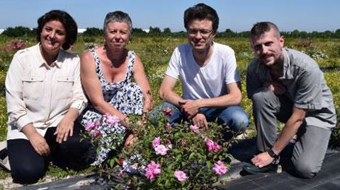 L'obtention du génome de Rosa chinensis ‘Old Blush' va permettre d'accélérer le travail des sélectionneurs. De gauche à droite : Latifa Hamama (IRHS), Laurence Hibrand-Saint Oyant (IRHS), Fabrice Foucher (IRHS) et Jérémy Clotault (université d'Angers). L'obtention du génome de Rosa chinensis ‘Old Blush' va permettre d'accélérer le travail des sélectionneurs. De gauche à droite : Latifa Hamama (IRHS), Laurence Hibrand-Saint Oyant (IRHS), Fabrice Foucher (IRHS) et Jérémy Clotault (université d'Ang