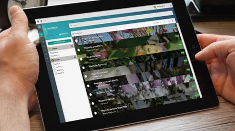 L'application Floriscope, gratuite, permet aux professionnels du végétal et du paysage de choisir et trouver des végétaux pour les jardins et les espaces verts parmi 177 000 noms de plantes aujourd'hui référencés.©Plante & Cité L'application Floriscope, gratuite, permet aux professionnels du végétal et du paysage de choisir et trouver des végétaux pour les jardins et les espaces verts parmi 177 000 noms de plantes aujourd'hui référencés.©Plante & Cité