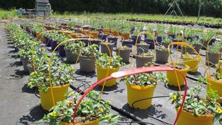 ©Pascal Fayolle ©Pascal Fayolle ©Pascal Fayolle ©Pascal Fayolle