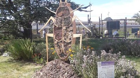 Le parc des Glacis, à Besançon, accueille un hôtel à insectes original… ©Léna Hespel Le parc des Glacis, à Besançon, accueille un hôtel à insectes original… ©Léna Hespel