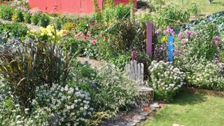 © Gilles Cloître Les visiteurs du festival de Coutances (50) adorent les associations de dahlias et légumes.  © Gilles Cloître Les visiteurs du festival de Coutances (50) adorent les associations de dahlias et légumes.