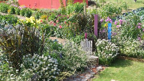 © Gilles Cloître Les visiteurs du festival de Coutances (50) adorent les associations de dahlias et légumes. 