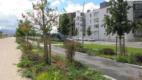 Dans de nombreuses régions, de multiples jeunes plantations ont souffert des conditions météorologiques de cet été 2015. ©Pascal Fayolle Dans de nombreuses régions, de multiples jeunes plantations ont souffert des conditions météorologiques de cet été 2015. ©Pascal Fayolle