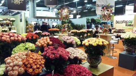 Cette année, le salon néerlandais a accueilli 1 000 visiteurs de plus qu'en 2014. ©FHTF Cette année, le salon néerlandais a accueilli 1 000 visiteurs de plus qu'en 2014. ©FHTF