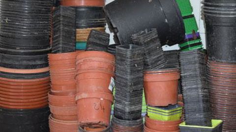 À Tiercé, une première collecte des poteries plastiques est prévue fin 2018. (c)Anne Mabire À Tiercé, une première collecte des poteries plastiques est prévue fin 2018. (c)Anne Mabire