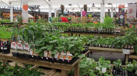 Le rachat de Jardiland par InVivo pourra se faire si l'acquéreur parvient à céder 11 magasins. (c)Pascal Fayolle Le rachat de Jardiland par InVivo pourra se faire si l'acquéreur parvient à céder 11 magasins. (c)Pascal Fayolle