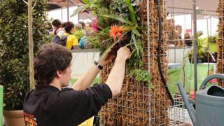 De nombreux aspects du financement de la formation professionnelle, du chômage et de l'apprentissage entreront en vigueur entre 2019 et 2021. (c)Odile Maillard   De nombreux aspects du financement de la formation professionnelle, du chômage et de l'apprentissage entreront en vigueur entre 2019 et 2021. (c)Odile Maillard   De nombreux aspects du financement de la formation professionnelle, du chômage et de l'apprentissage entreront en vigueur entre 2019 et 2021. (c)Odile Maillard   De nombreux aspects du financement de la formation professionnelle, du chômage et de l'apprentissage entreront en vigueur entre 2019 et 2021. (c)Odile Maillard