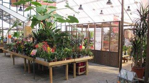 Dans un contexte de printemps difficile pour les jardineries, les végétaux d'intérieur ont tiré leur épingle du jeu lors du premier semestre 2018. ©Pascal Fayolle Dans un contexte de printemps difficile pour les jardineries, les végétaux d'intérieur ont tiré leur épingle du jeu lors du premier semestre 2018. ©Pascal Fayolle