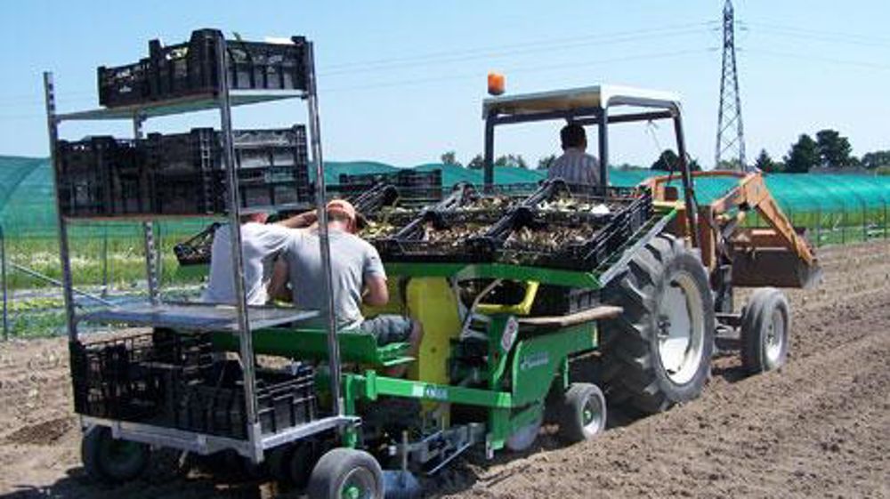 Dans le Maine-et-Loire, 35 000 CDD agricoles sont signés chaque année. ©Anne Mabire Dans le Maine-et-Loire, 35 000 CDD agricoles sont signés chaque année. ©Anne Mabire