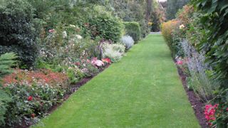 © Valérie Vidril En 1982, Joanna et Bronisław Szmit ont commencé à créer une collection qui servirait de stock de pieds-mères pour leur pépinière. 