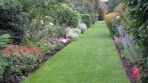 © Valérie Vidril En 1982, Joanna et Bronisław Szmit ont commencé à créer une collection qui servirait de stock de pieds-mères pour leur pépinière. 