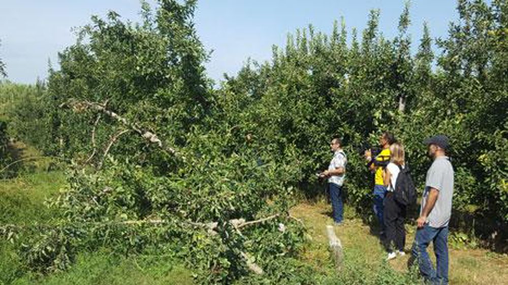 Conférence de presse autour d'un arrachage de verger dans l'Hérault, symbole « de l'arrêt de mort de l'activité arboricole si la TO-DE est supprimée ». (c)M. Levaux Conférence de presse autour d'un arrachage de verger dans l'Hérault, symbole « de l'arrêt de mort de l'activité arboricole si la TO-DE est supprimée ». (c)M. Levaux