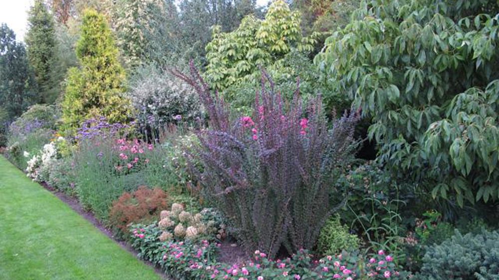 © Valérie Vidril Au fil des années et de l'enrichissement de leur gamme, Joanna et Bronisław Szmit ont aménagé un jardin de démonstration de 2,5 ha. 