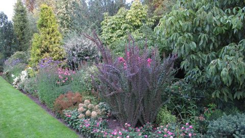 © Valérie Vidril Au fil des années et de l'enrichissement de leur gamme, Joanna et Bronisław Szmit ont aménagé un jardin de démonstration de 2,5 ha. 