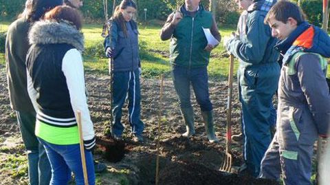 Le 27 novembre dernier, trente-six arbres regroupant trois des six espèces concernées par la démarche Label Rouge ont été plantés sur une parcelle en reconversion bio au lycée agricole de Montluçon-Larequille. ©Excellence végétale  Le 27 novembre dernier, trente-six arbres regroupant trois des six espèces concernées par la démarche Label Rouge ont été plantés sur une parcelle en reconversion bio au lycée agricole de Montluçon-Larequille. ©Excellence végétale 