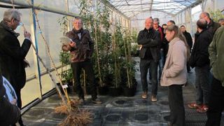 La station a présenté les résultats de ses essais sur l'évolution du système racinaire de différentes espèces ligneuses cultivées en hors-sol puis en pleine terre. (c)Valérie Vidril La station a présenté les résultats de ses essais sur l'évolution du système racinaire de différentes espèces ligneuses cultivées en hors-sol puis en pleine terre. (c)Valérie Vidril La station a présenté les résultats de ses essais sur l'évolution du système racinaire de différentes espèces ligneuses cultivées en hors-sol puis en pleine terre. (c)Valérie Vidril La station a présenté les résultats de ses essais sur l'évolution du système racinaire de différentes espèces ligneuses cultivées en hors-sol puis en pleine terre. (c)Valérie Vidril