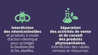 Le projet de loi prévoit, parmi beaucoup d'autres mesures, une interdiction des néonicotinoïdes et la séparation des activités de vente et de conseil. ©Ministère de l'Agriculture Le projet de loi prévoit, parmi beaucoup d'autres mesures, une interdiction des néonicotinoïdes et la séparation des activités de vente et de conseil. ©Ministère de l'Agriculture Le projet de loi prévoit, parmi beaucoup d'autres mesures, une interdiction des néonicotinoïdes et la séparation des activités de vente et de conseil. ©Ministère de l'Agriculture Le projet de loi prévoit, parmi beaucoup d'autres mesures, une interdiction des néonicotinoïdes et la séparation des activités de vente et de conseil. ©Ministère de l'Agriculture