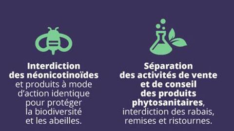 Le projet de loi prévoit, parmi beaucoup d'autres mesures, une interdiction des néonicotinoïdes et la séparation des activités de vente et de conseil. ©Ministère de l'Agriculture  Le projet de loi prévoit, parmi beaucoup d'autres mesures, une interdiction des néonicotinoïdes et la séparation des activités de vente et de conseil. ©Ministère de l'Agriculture 